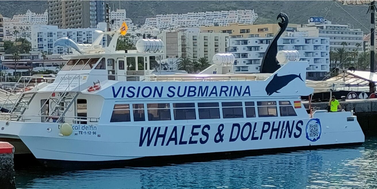 Whale & Dolphin Watching + Underwater Vision